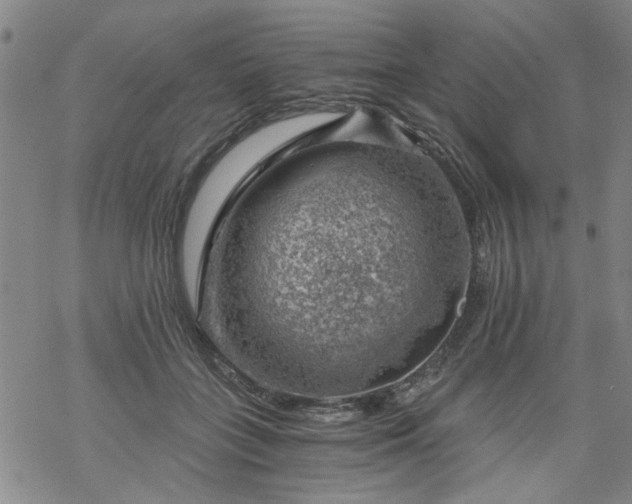 X0000068900555200605122103