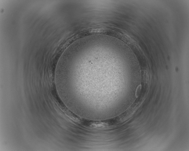 X0000068900557200605122103