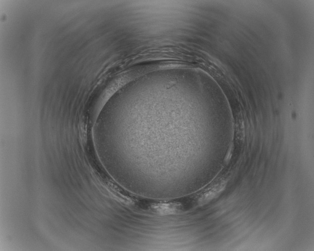 X0000068900558200605122103