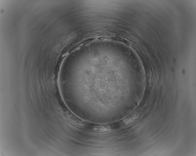 X0000068900559200605122103