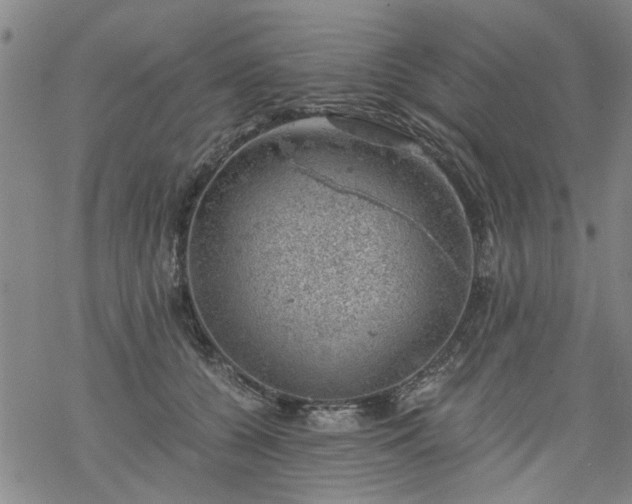 X0000068900560200605122103