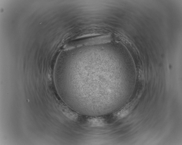 X0000068900561200605122103