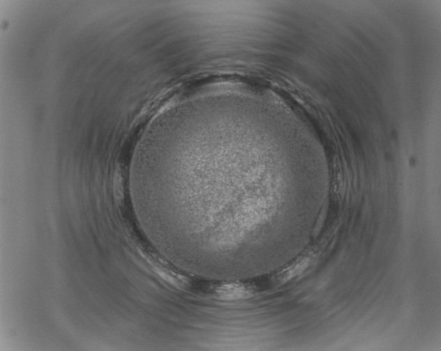 X0000068900562200605122103