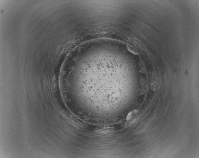 X0000068900563200605122103