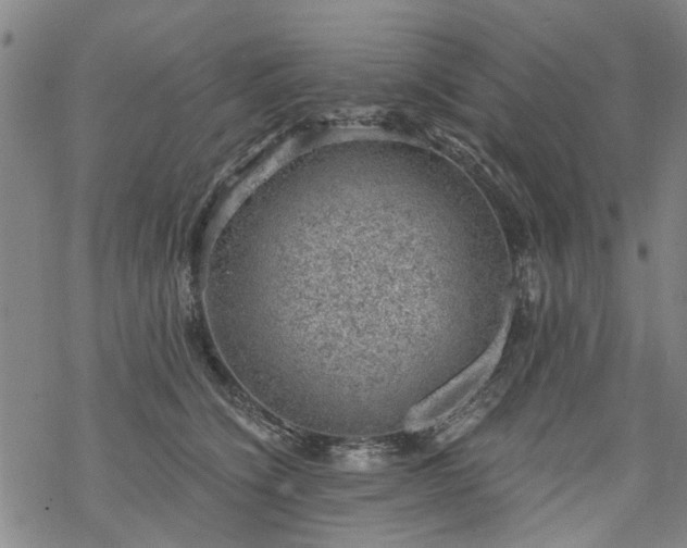 X0000068900564200605122103