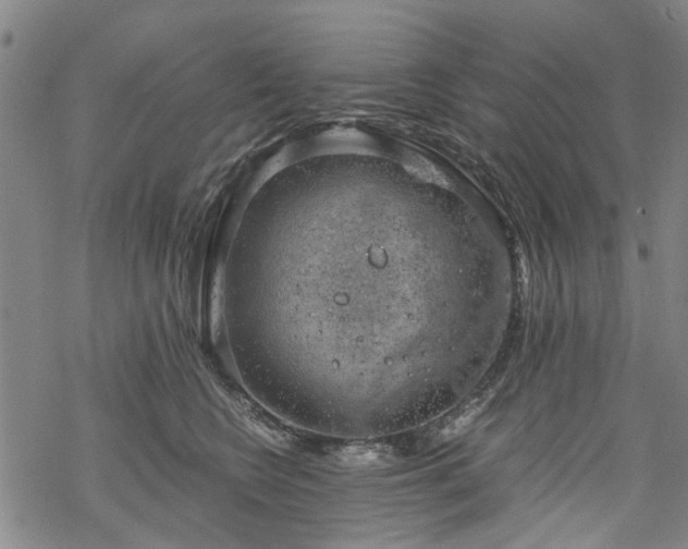 X0000068900566200605122103