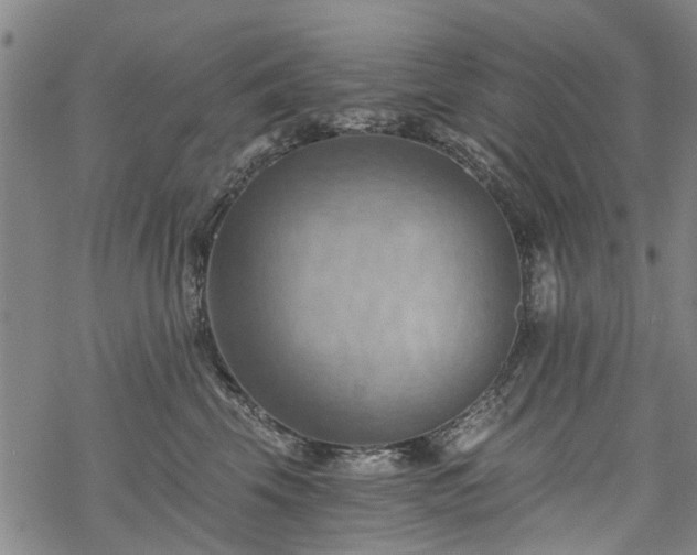 X0000068900569200605122103