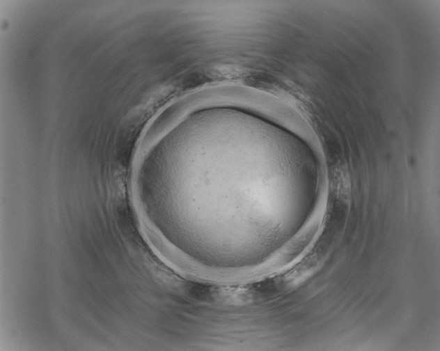 X0000068900570200605122103