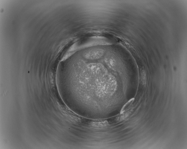 X0000068900571200605122103