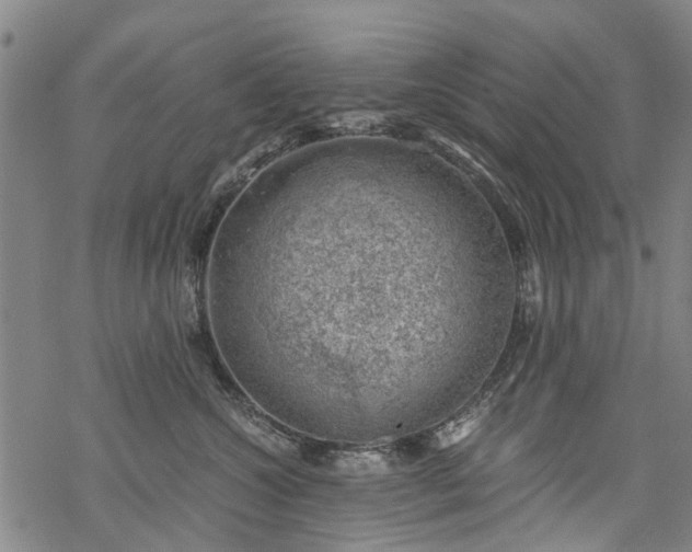 X0000068900572200605122103