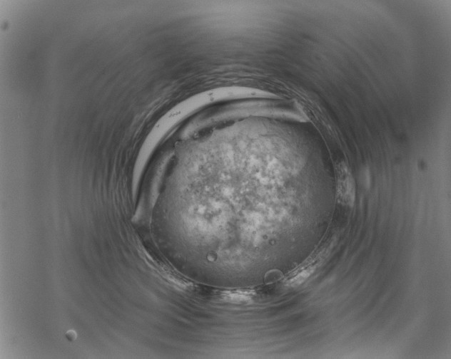 X0000068900573200605122103