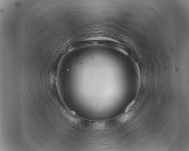 X0000068900574200605122103