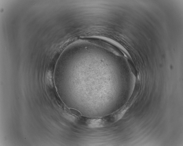 X0000068900575200605122103