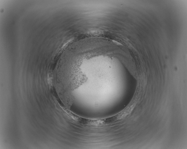 X0000068900576200605122103