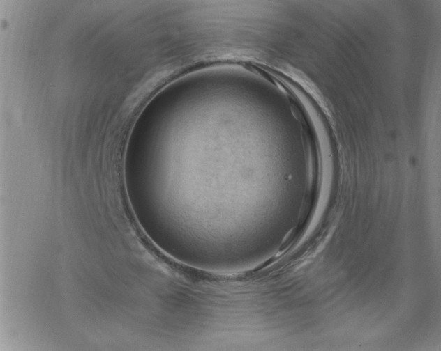 X0000068900577200605122102