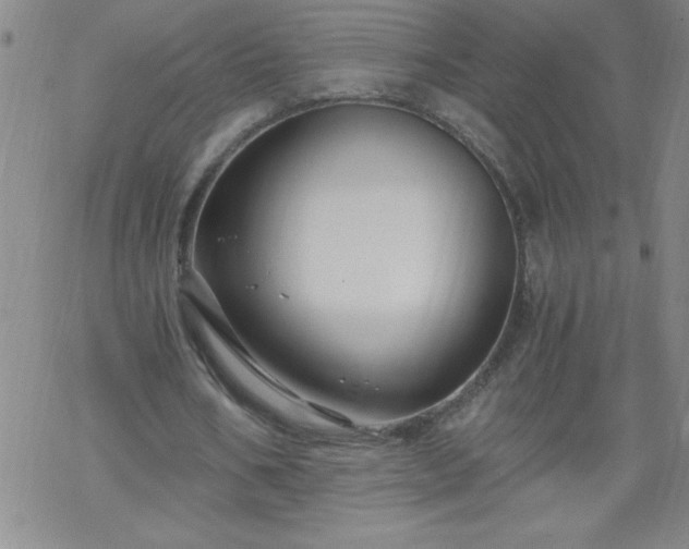 X0000068900578200605122102