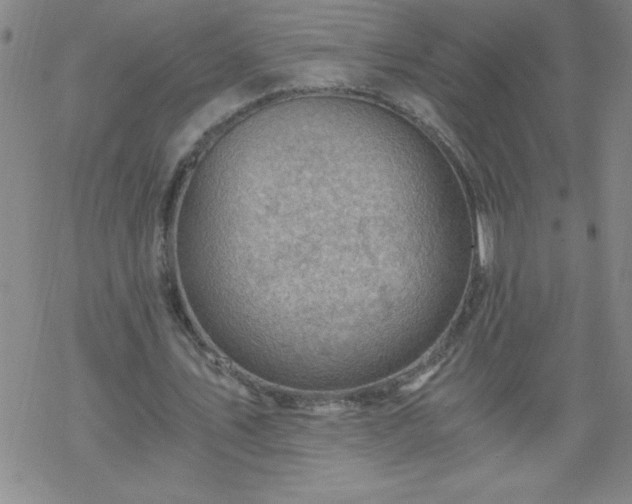 X0000068900579200605122102