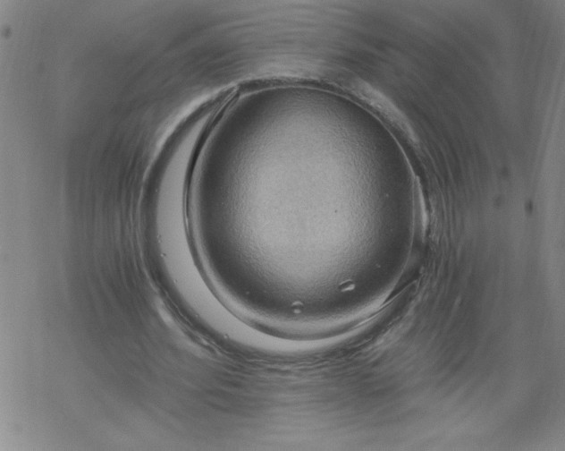 X0000068900580200605122102