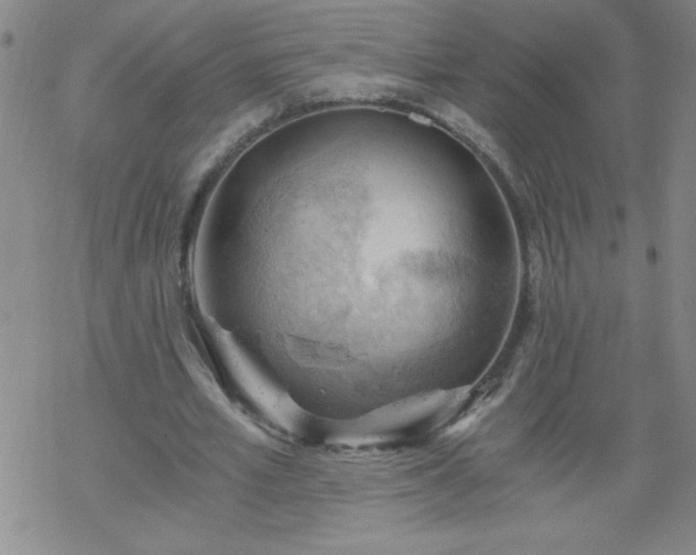 X0000068900581200605122102