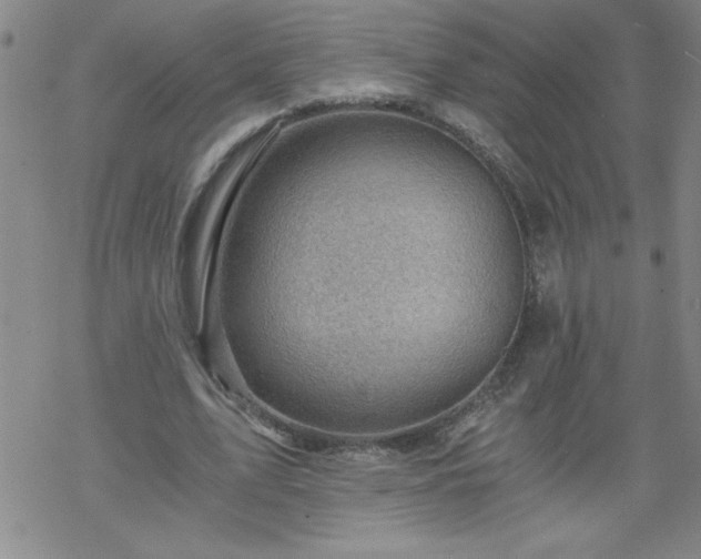 X0000068900583200605122102