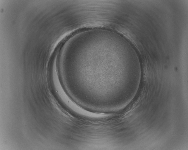 X0000068900584200605122102