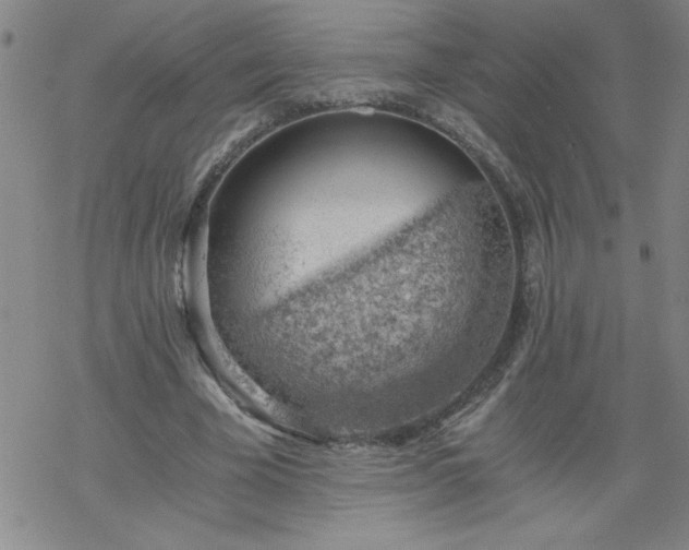 X0000068900585200605122102