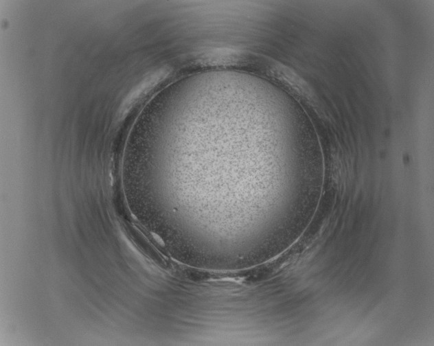 X0000068900586200605122102