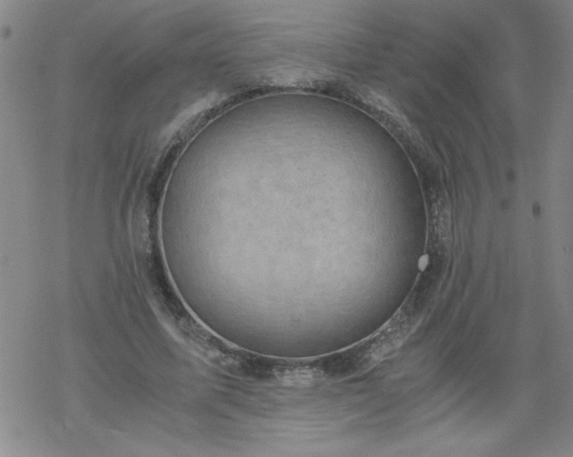 X0000068900587200605122102