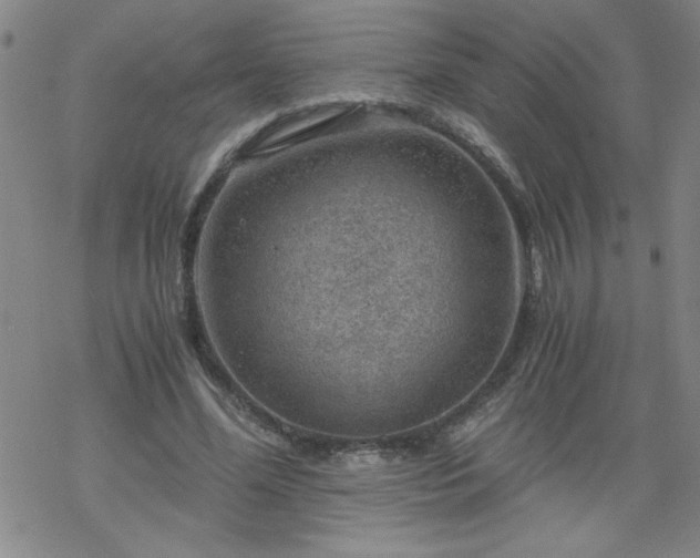 X0000068900588200605122102