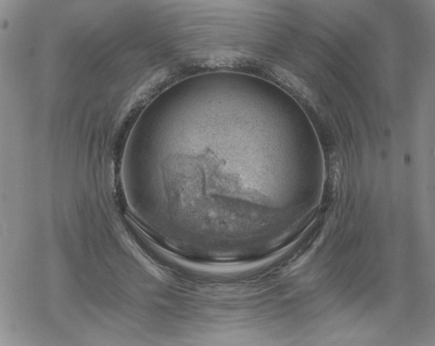 X0000068900589200605122102