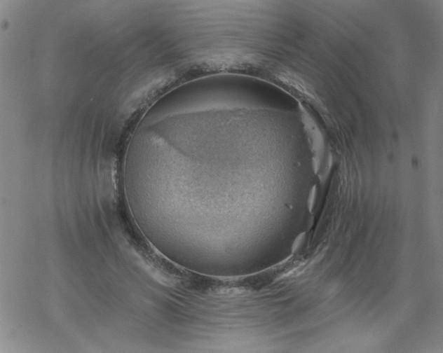 X0000068900590200605122102