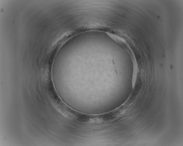 X0000068900591200605122102