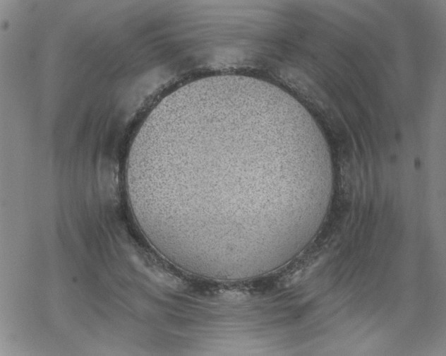 X0000068900592200605122102