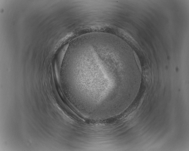 X0000068900593200605122102