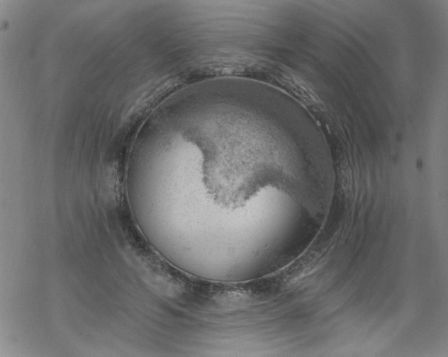 X0000068900594200605122102