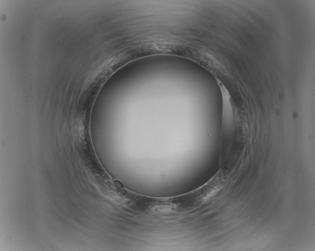 X0000068900595200605122102