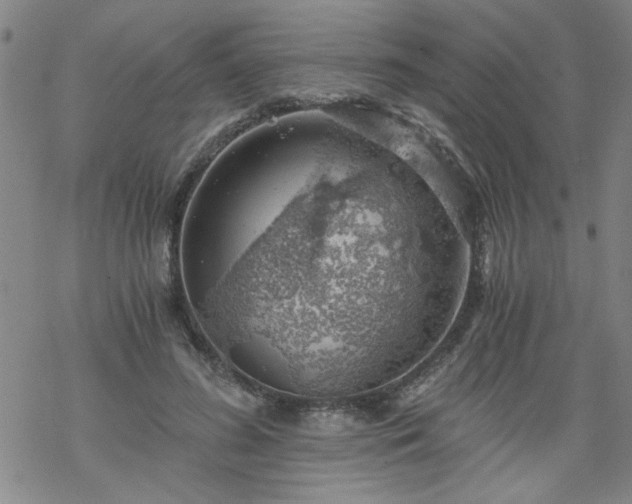 X0000068900596200605122102