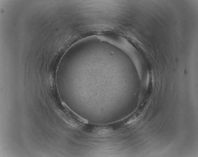 X0000068900597200605122102