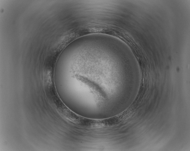 X0000068900598200605122102