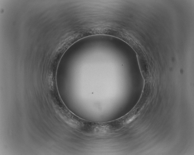 X0000068900599200605122102