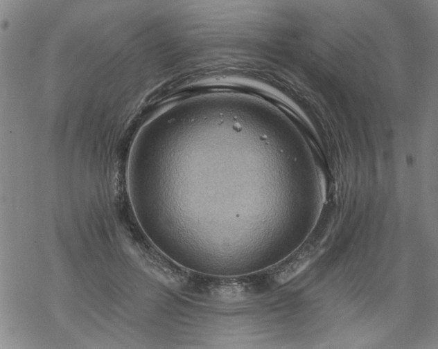 X0000068900600200605122102