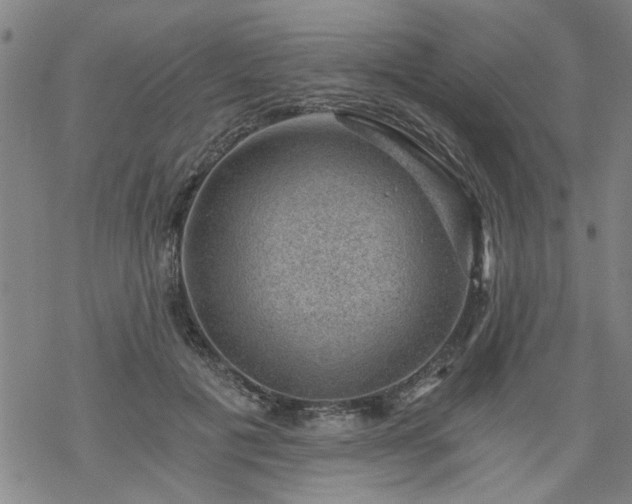 X0000068900601200605122102