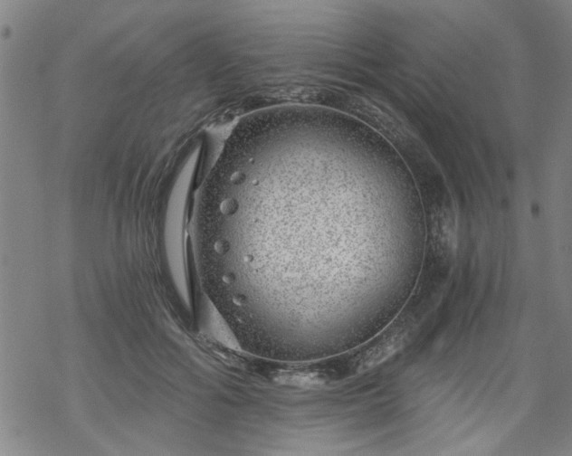 X0000068900602200605122102