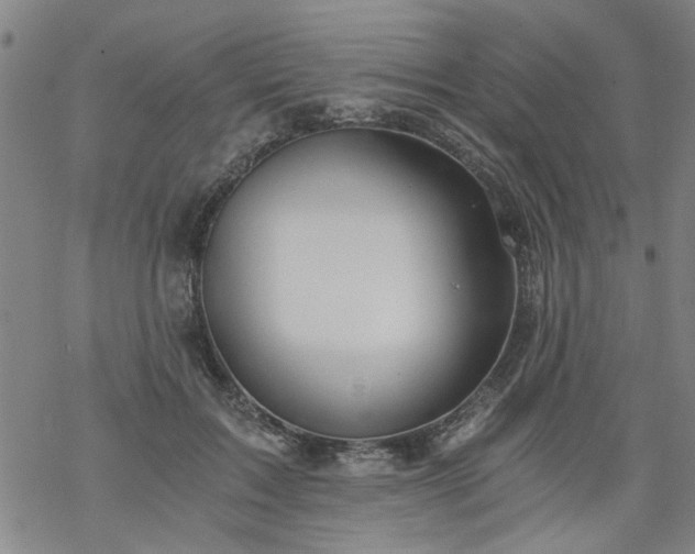 X0000068900603200605122102