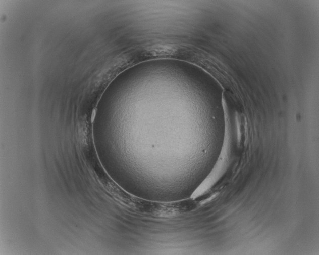 X0000068900604200605122102