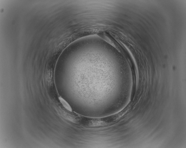 X0000068900605200605122102