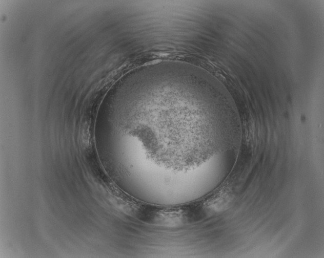 X0000068900606200605122102