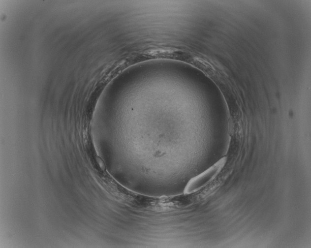 X0000068900607200605122102