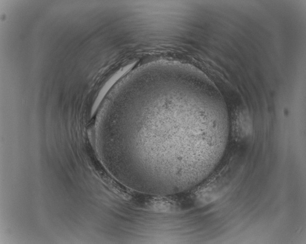 X0000068900608200605122102