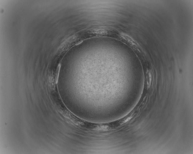 X0000068900609200605122102